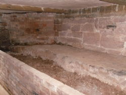 Cellar Restoration Cellar Restoration